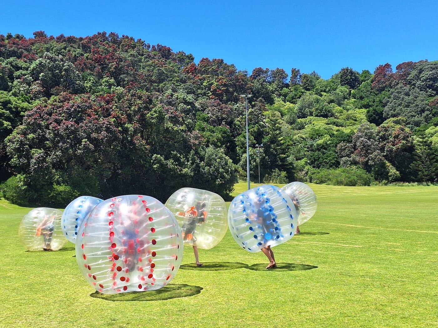 Kids playing in red and blue bumper balls on a sunny park field in Taranaki
