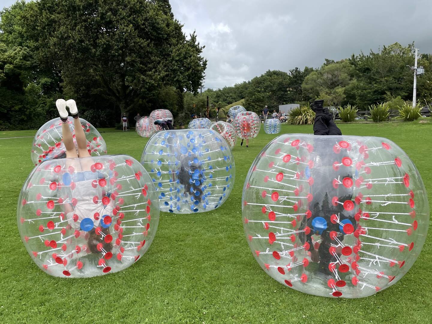 Group playing bumper ball party games on a grass field in New Plymouth
