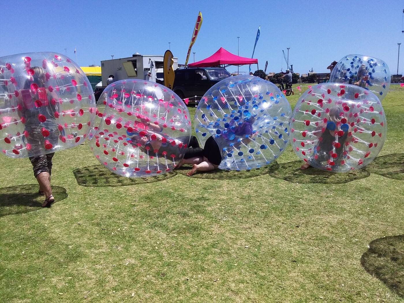 Players tumbling over in bumper balls on grass at a Taranaki event