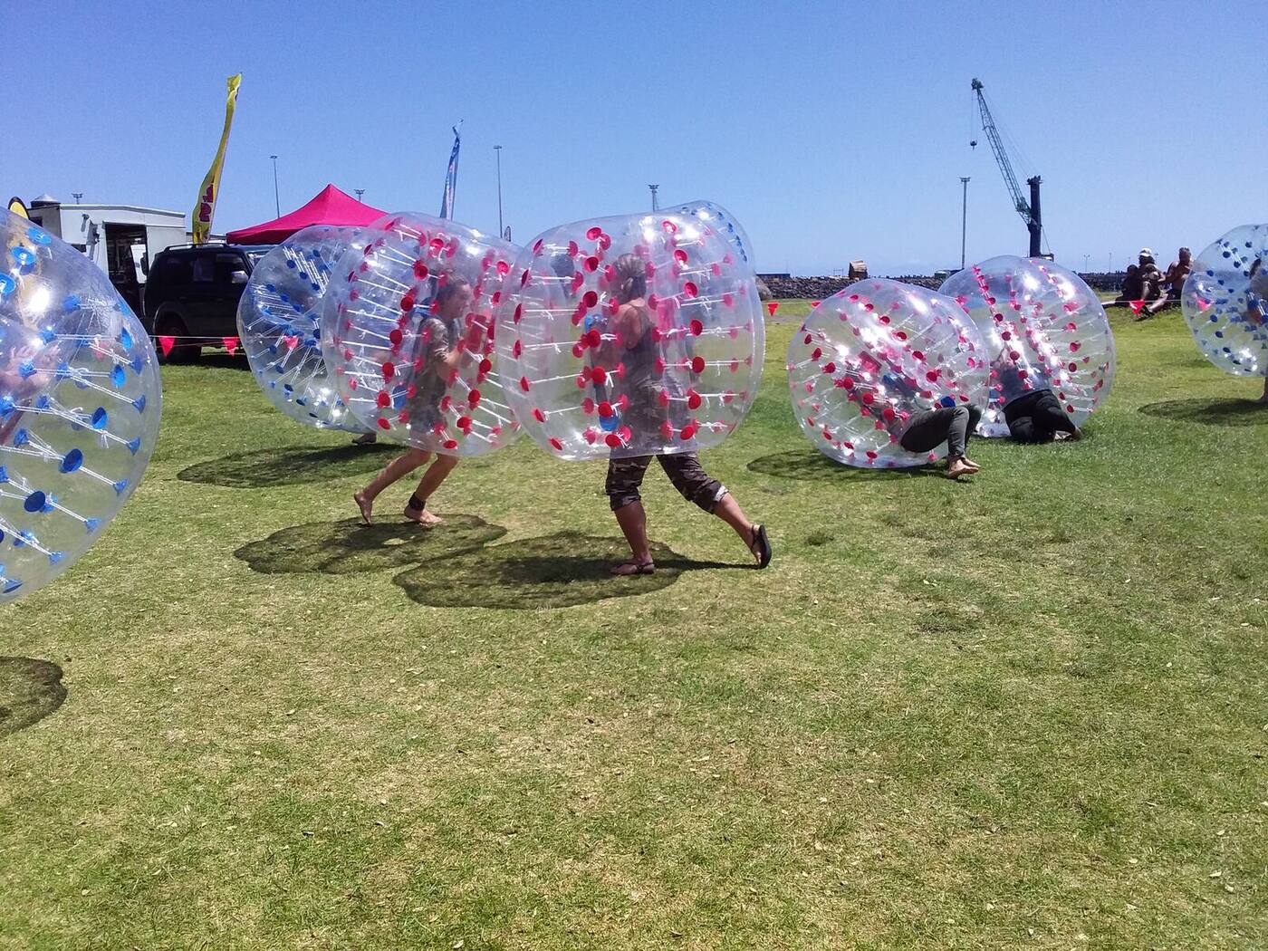 Players charging at each other in bumper balls at a public event in New Plymouth